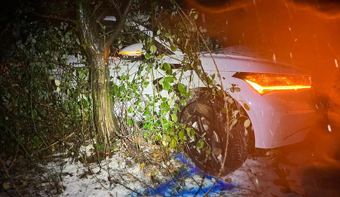Ein Fahrzeug rutschte am letzten Freitag 70 Meter in Knutwil eine Wiese hinab und kam erst in einem Waldstück zum Stillstand. (Foto zvg)