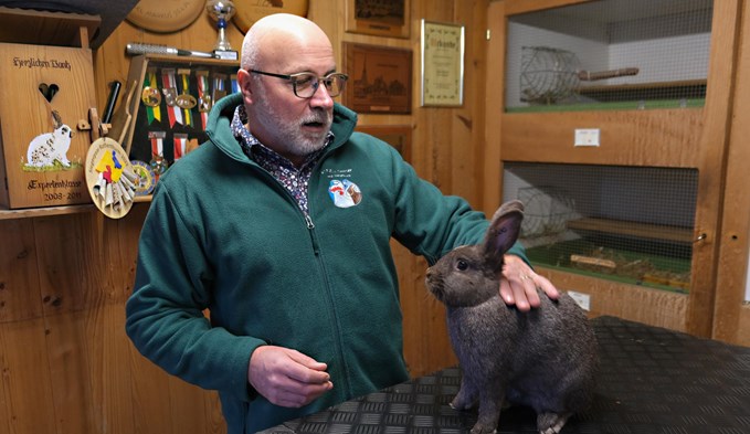 Markus Vogel züchtet seit 1985 Kaninchen. Mit diesem Kleinsilber-Kaninchen hat er bereits mehrere Preise gewonnen. (Foto Roseline Betschart)