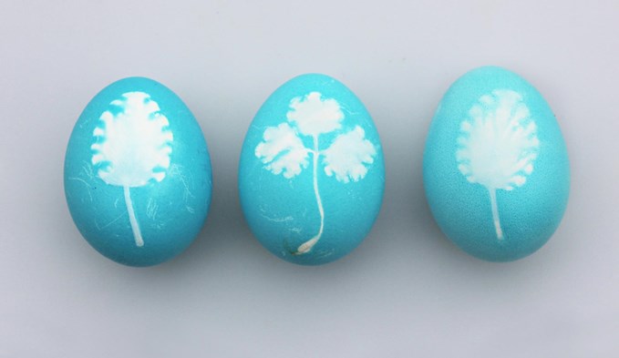 Mit Rotkohl lassen sich die Eier blau färben.  (Foto Unsplash/Angèle Kamp)