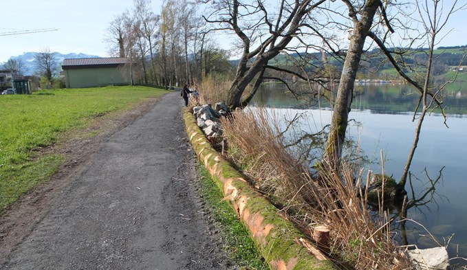 Der Seeuferweg in Sempach zwischen dem Parkplatz Seevogtei und dem Seewasserwerk ist nach den Hochwasserschäden wieder instand gestellt worden. (Foto Geri Wyss)