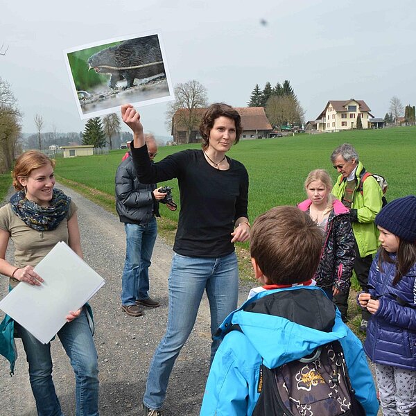 
									Biber-Wanderung an der Sure: Bild 8
								
