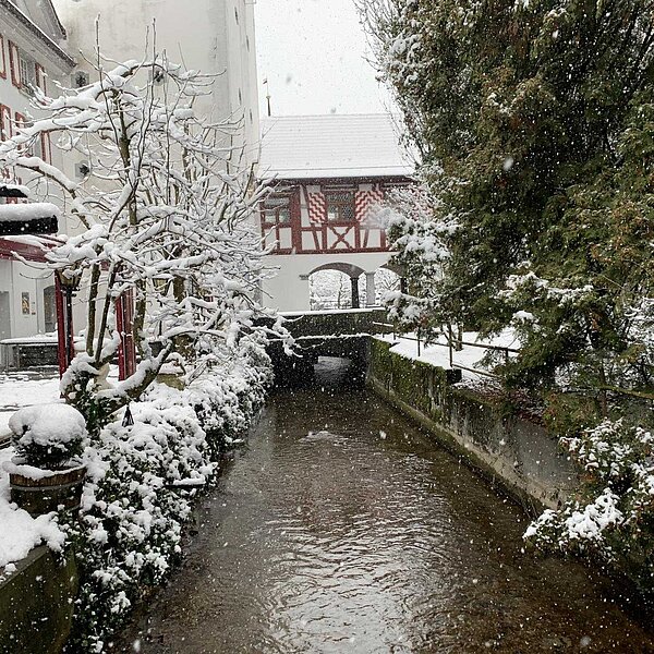 
									Winter in der Region 2019: Bild 6
								