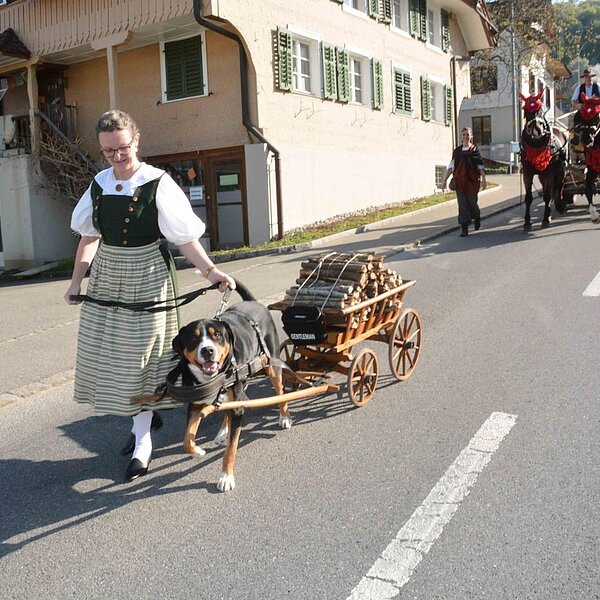 
									Historischer Baumtransport: Bild 21
								