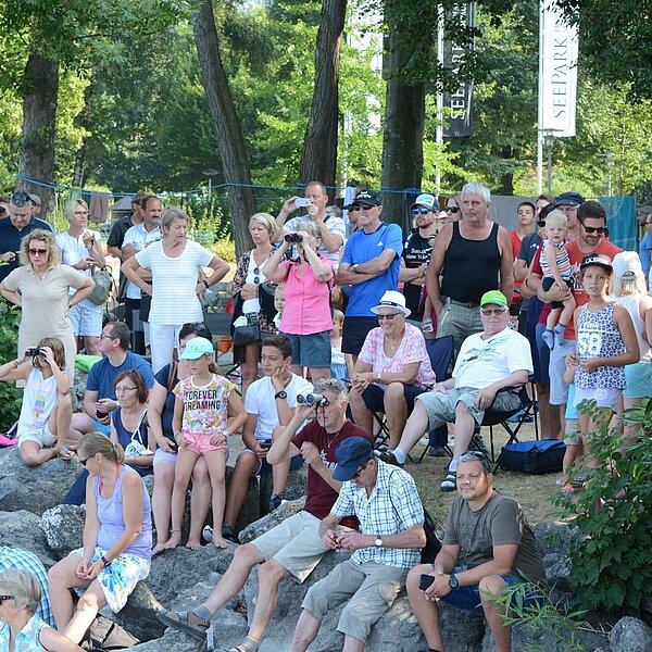 
									48. Sempacherseeüberquerung: Bild 12
								