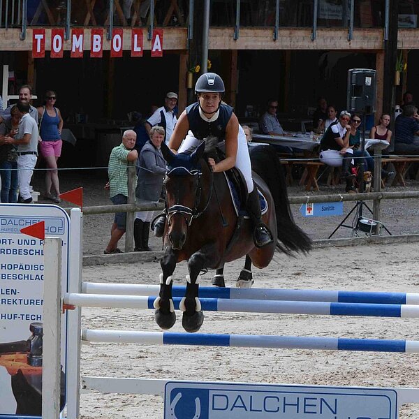 
									Pferdesporttage Sursee 2018: Bild 10
								