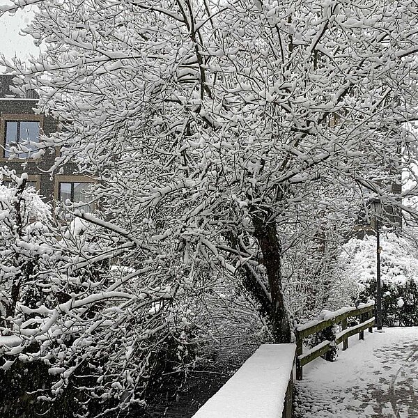 
									Winter in der Region 2019: Bild 11
								