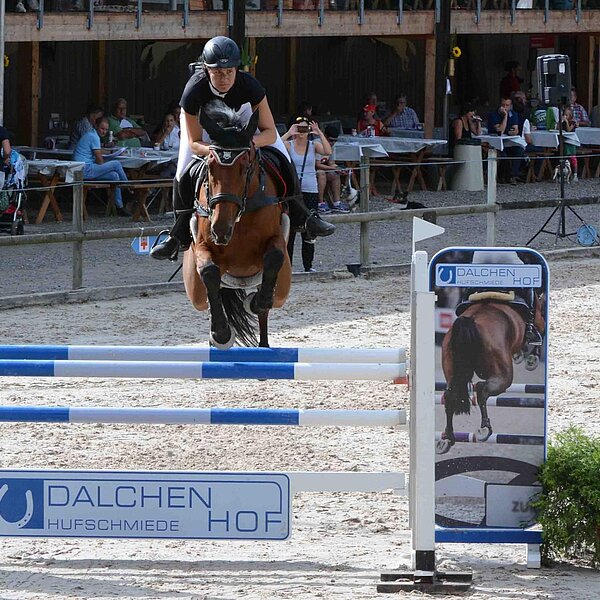 
									Pferdesporttage Sursee 2018: Bild 1
								