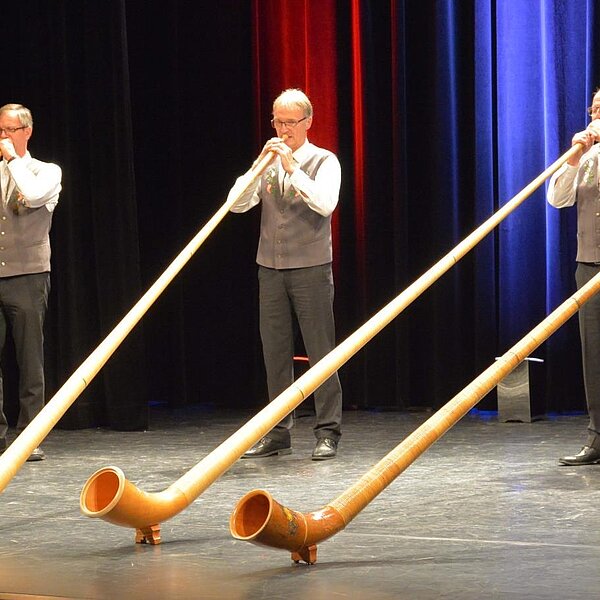 
									1. «Soorser Theaterfäscht»: Bild 12
								