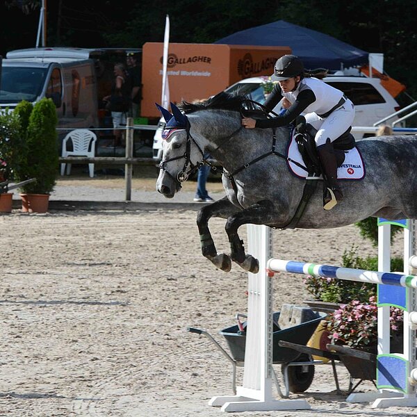 
									Pferdesporttage Sursee 2018: Bild 30
								