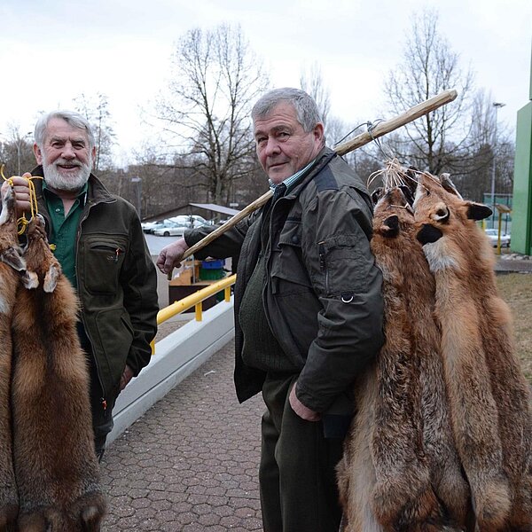 
									Fäälimärt Sursee: Bild 5
								