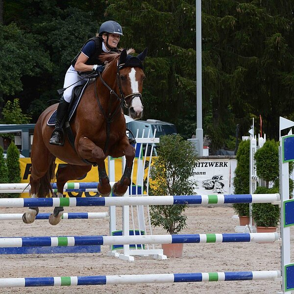 
									Pferdesporttage Sursee 2018: Bild 36
								