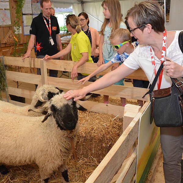 
									Gwärb 17 Nottwil: Bild 5
								