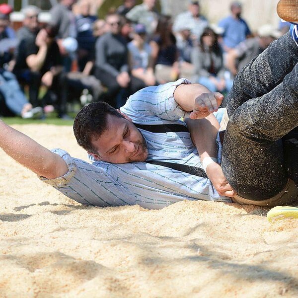 
									10. Surentaler Frühjahrsschwinget: Bild 5
								