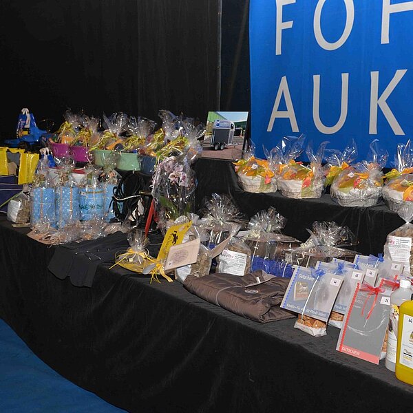 
									Sportfohlenauktion: Bild 6
								