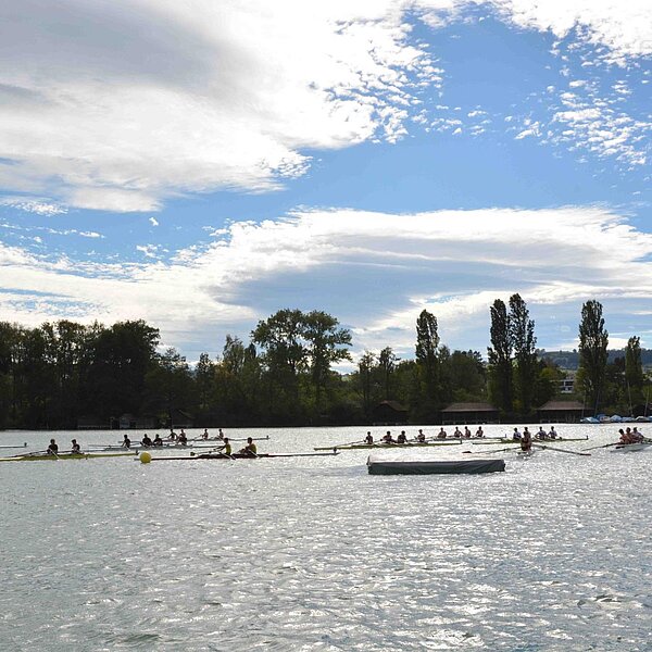 
									Regatta am Rudertreffen im Triechter Sursee: Bild 31
								