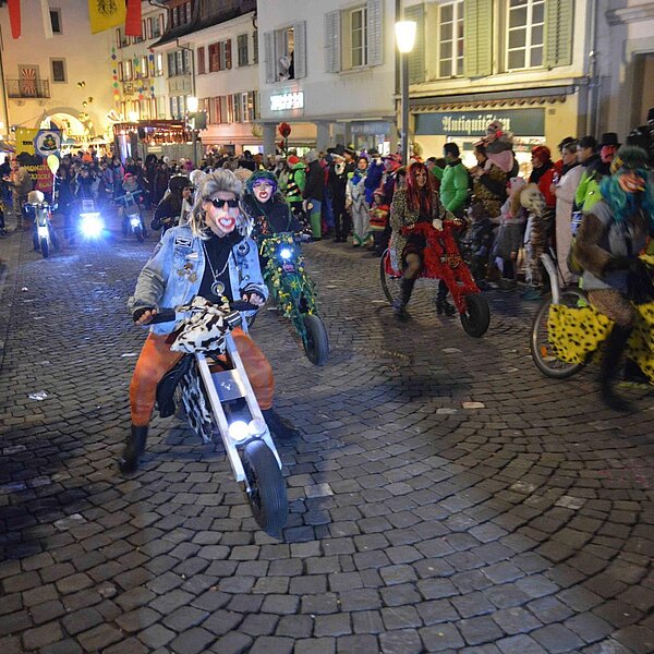 
									Monsterkonzert 2018: Bild 14
								