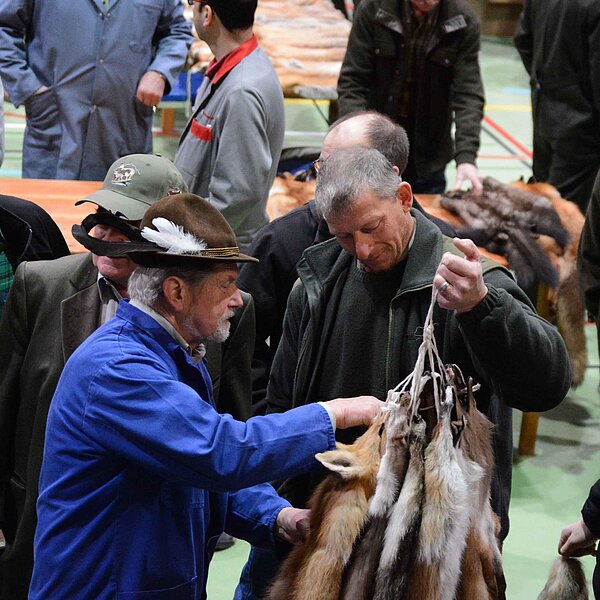 
									Fäälimärt Sursee: Bild 10
								