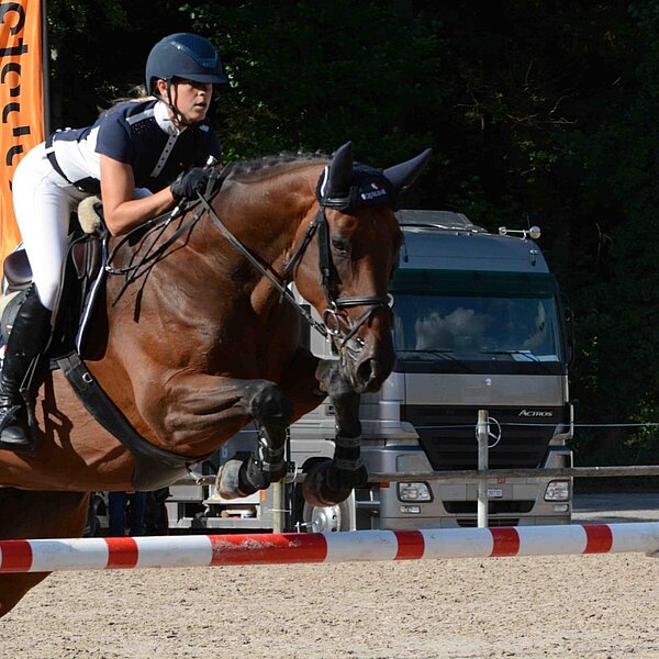 
									Pferdesporttage Sursee 2018: Bild 34
								