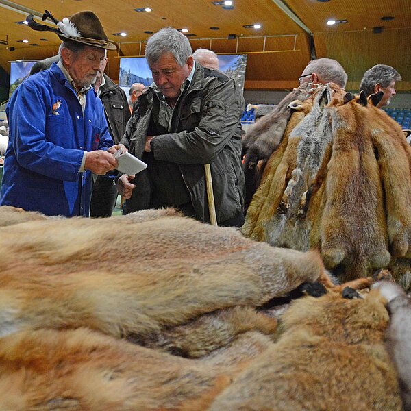 
									Fäälimärt Sursee: Bild 6
								