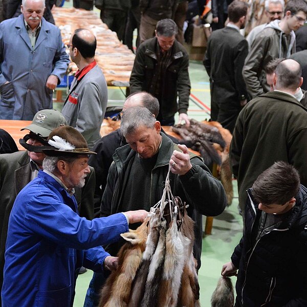 
									Fäälimärt Sursee: Bild 3
								