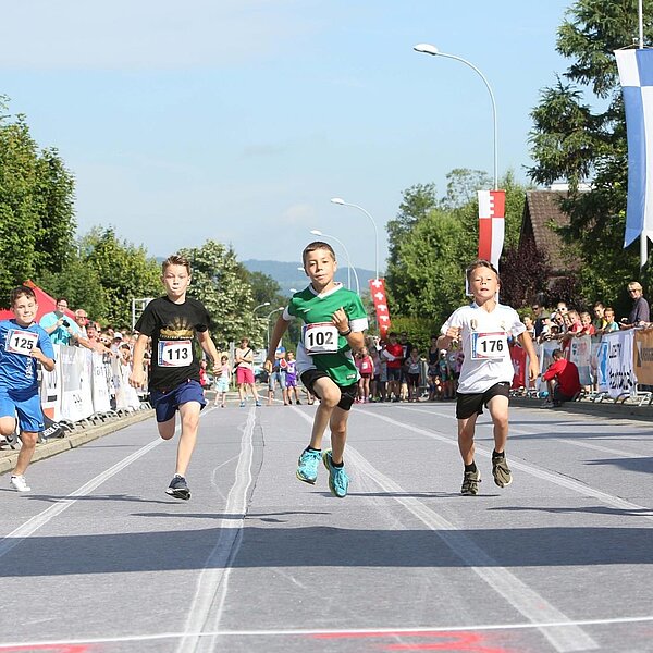 
									Rollsport Sempachersee: Bild 2
								