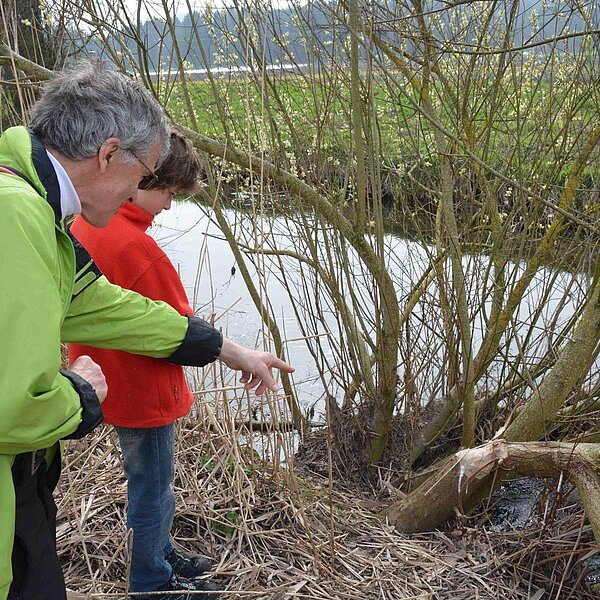 
									Biber-Wanderung an der Sure: Bild 6
								