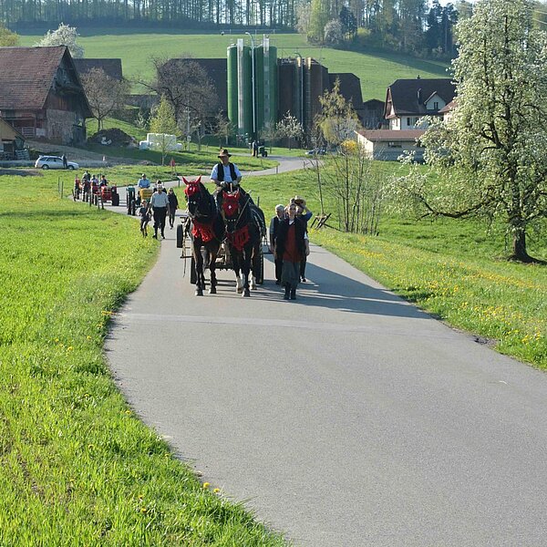 
									Historischer Baumtransport: Bild 10
								