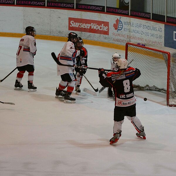 
									EHC_Sursee_Damen_Aufstieg: Bild 9
								