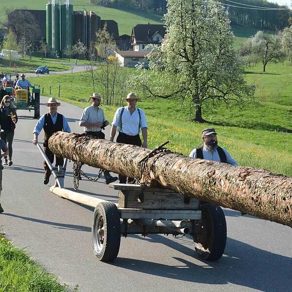 
									Historischer Baumtransport: Bild 12
								