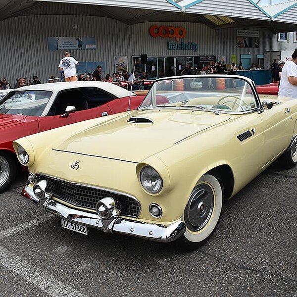 
									US-Car Treffen in Schenkon: Bild 14
								
