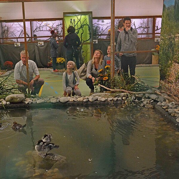 
									Vogelausstellung Sursee: Bild 15
								