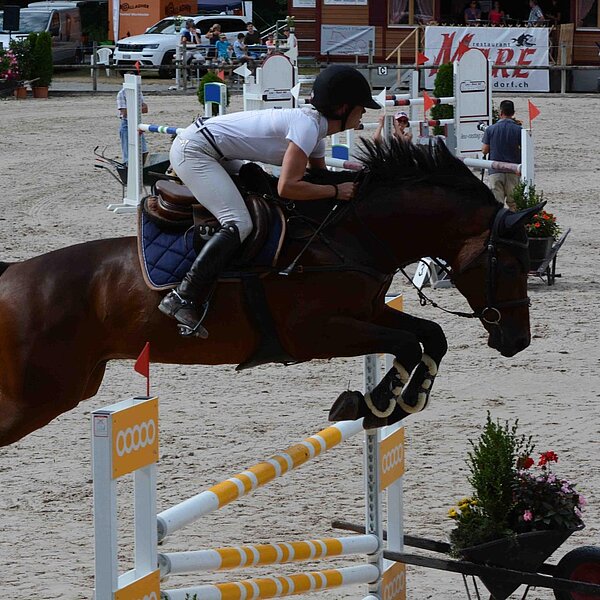 
									Pferdesporttage Sursee 2018: Bild 6
								