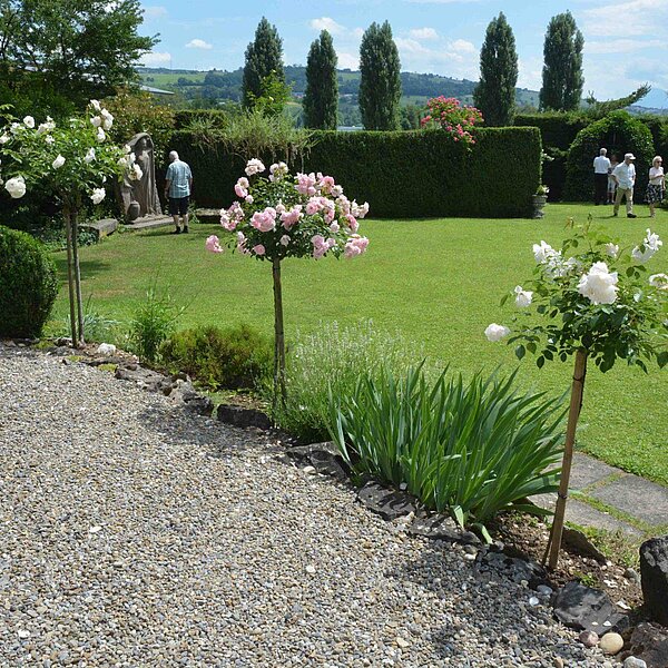 
									«Sonntagsgarten»-Führung in Sursee: Bild 23
								