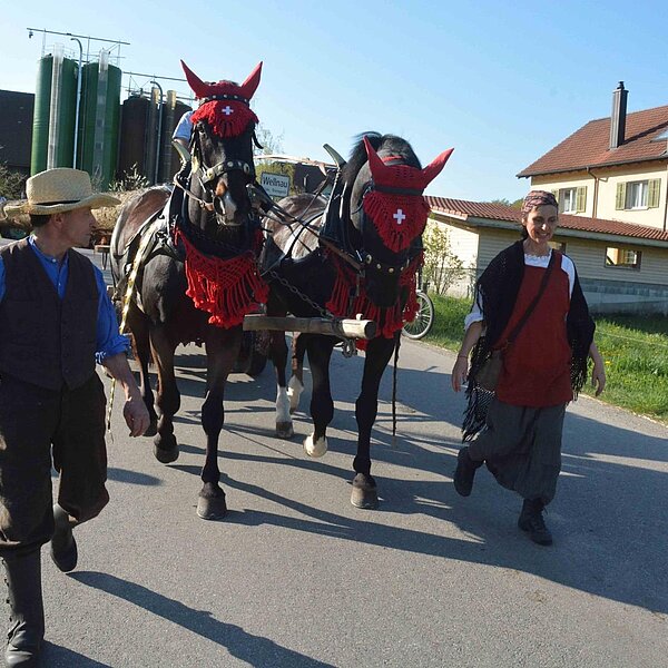 
									Historischer Baumtransport: Bild 6
								