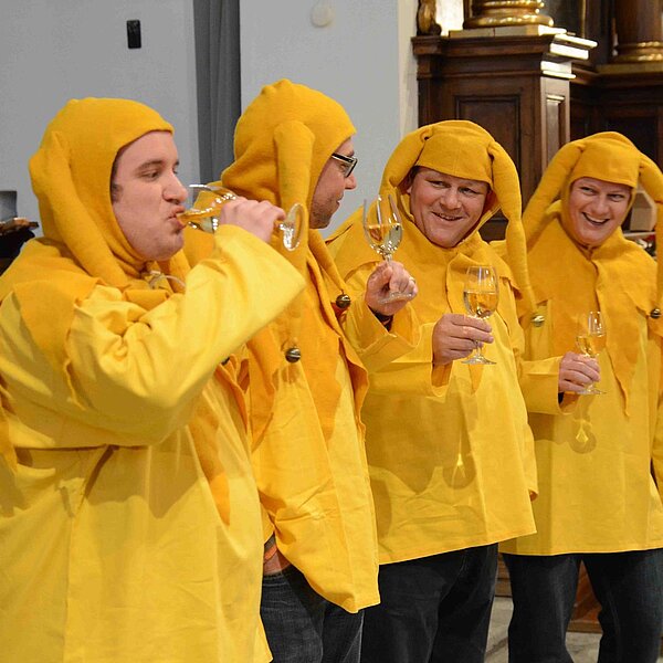 
									Inthronisation Heinivater 2016, Jopo, mit Dreikönigsbot: Bild 5
								