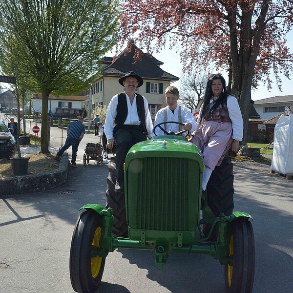 
									Historischer Baumtransport: Bild 33
								