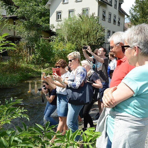 
									EHC_Sursee_Damen_Aufstieg: Bild 8
								