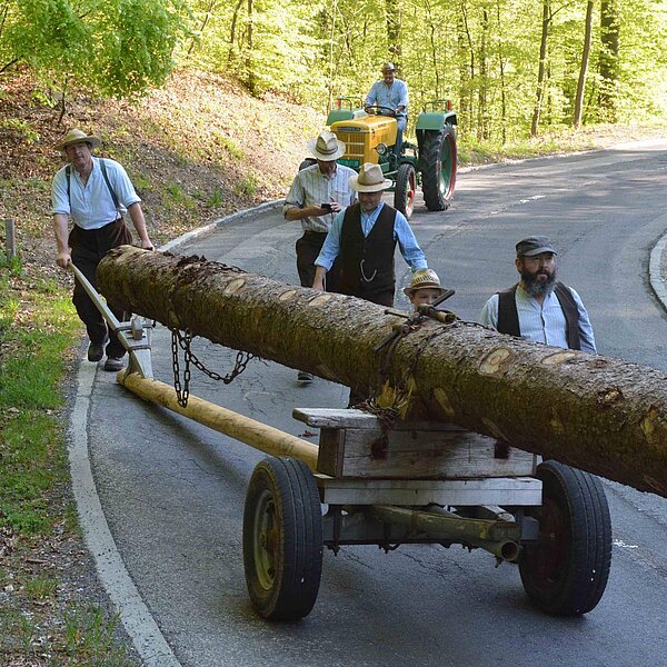 
									Historischer Baumtransport: Bild 18
								