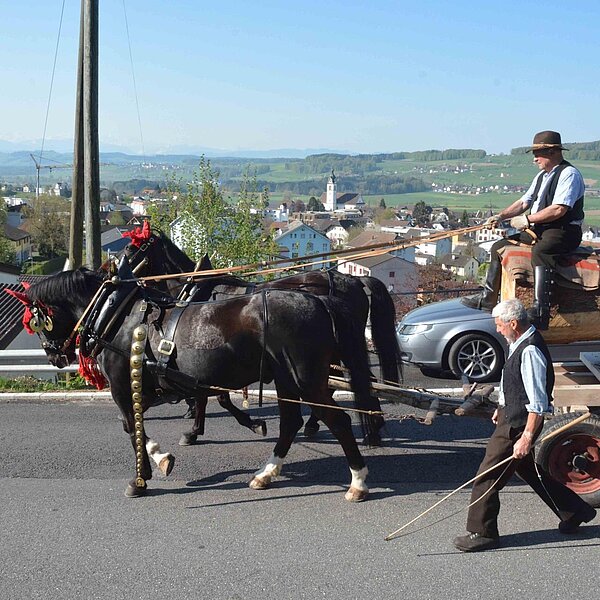 
									Historischer Baumtransport: Bild 20
								