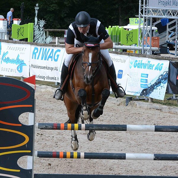 
									Pferdesporttage Sursee 2018: Bild 27
								
