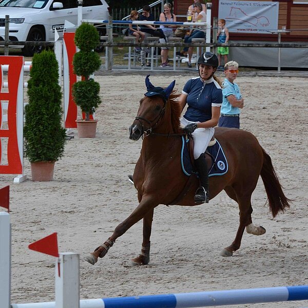 
									Pferdesporttage Sursee 2018: Bild 18
								