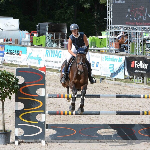
									Pferdesporttage Sursee 2018: Bild 9
								