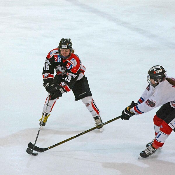 
									EHC_Sursee_Damen_Aufstieg: Bild 7
								
