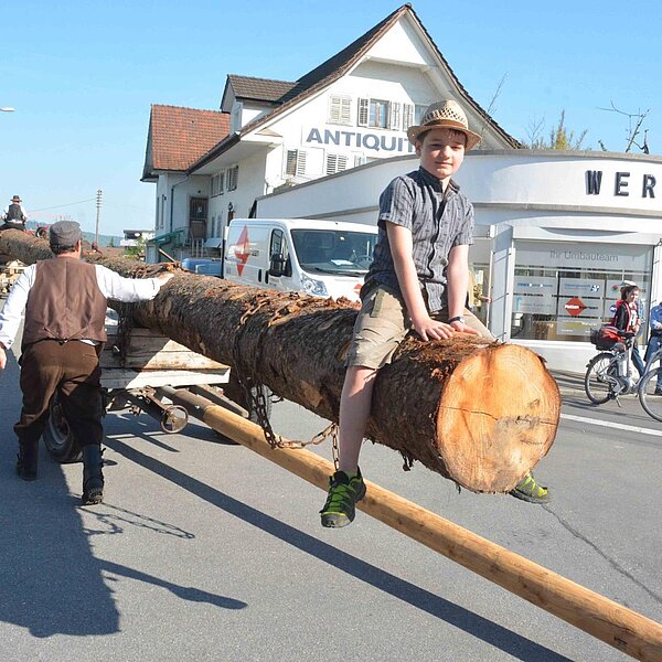 
									Historischer Baumtransport: Bild 24
								