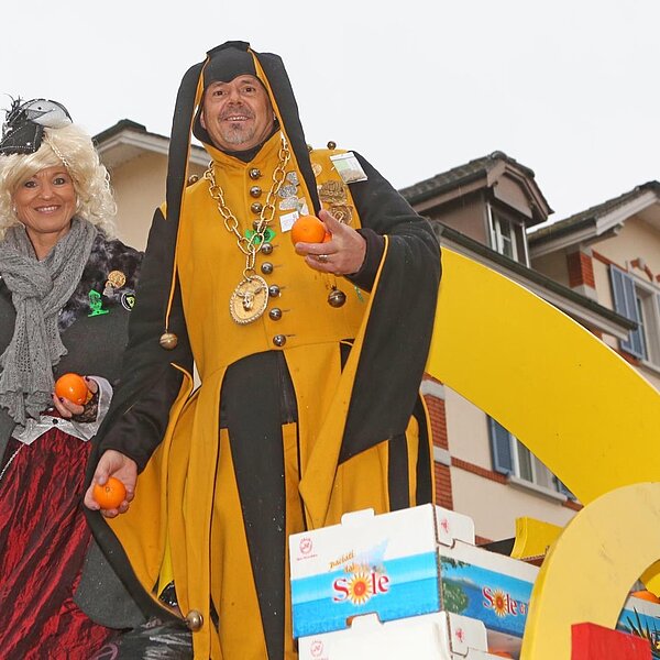 
									Umzug Sursee 2016: Bild 15
								