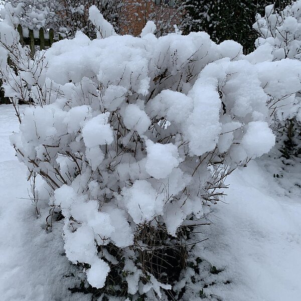 
									Winter in der Region 2019: Bild 5
								