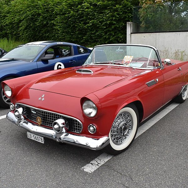 
									US-Car Treffen in Schenkon: Bild 39
								