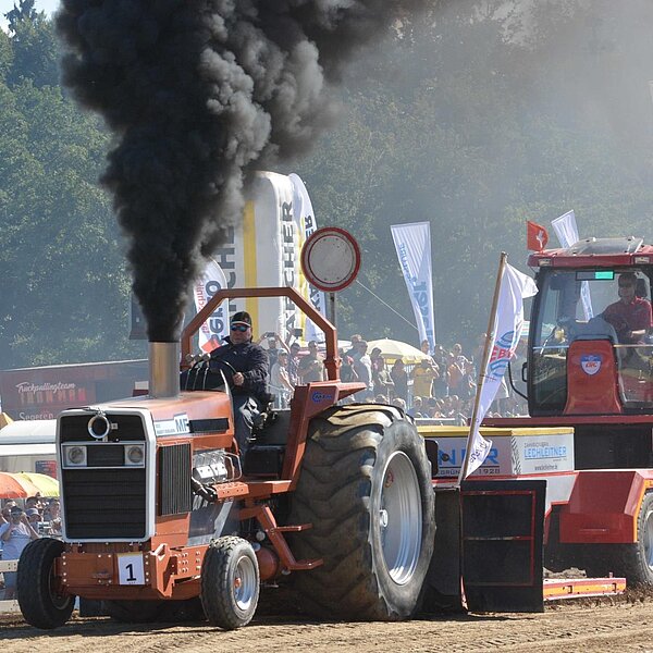 
									Ostermärt 2019 in Sursee: Bild 12
								