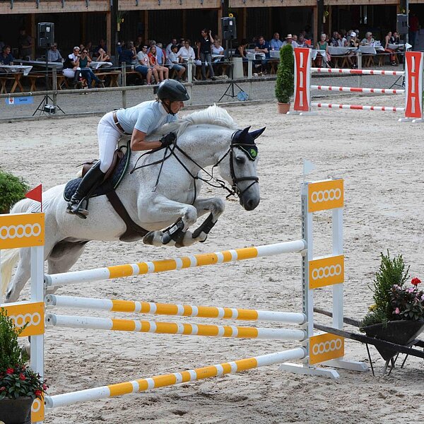 
									Pferdesporttage Sursee 2018: Bild 8
								