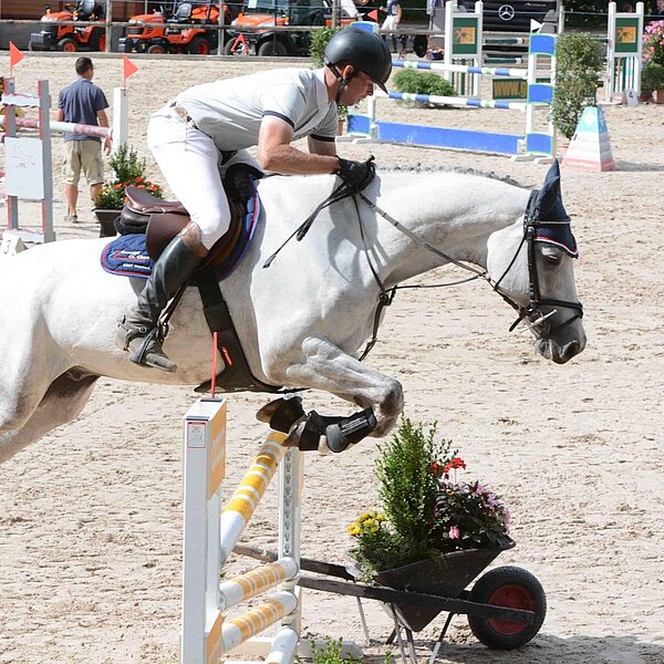 
									Pferdesporttage Sursee 2018: Bild 14
								
